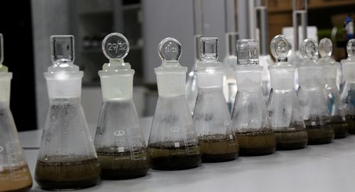 Фото: пресс-служба ФГБУ «ЦОК АПК»